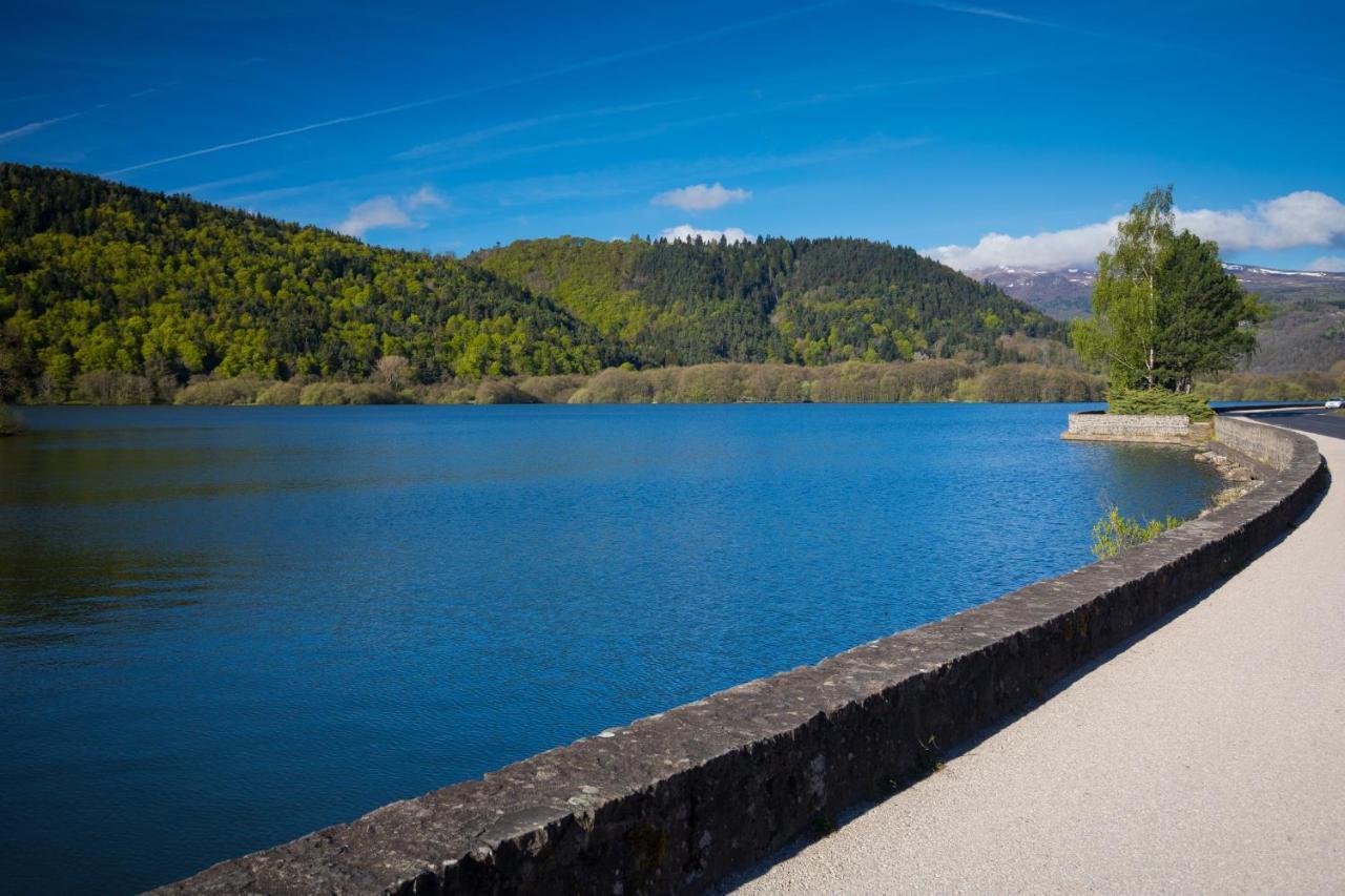 La Dormeuse Du Val Villa Chambon-sur-Lac Exterior photo