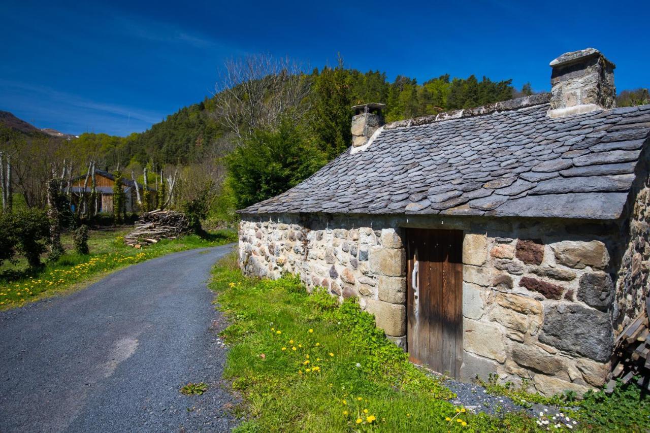 La Dormeuse Du Val Villa Chambon-sur-Lac Exterior photo